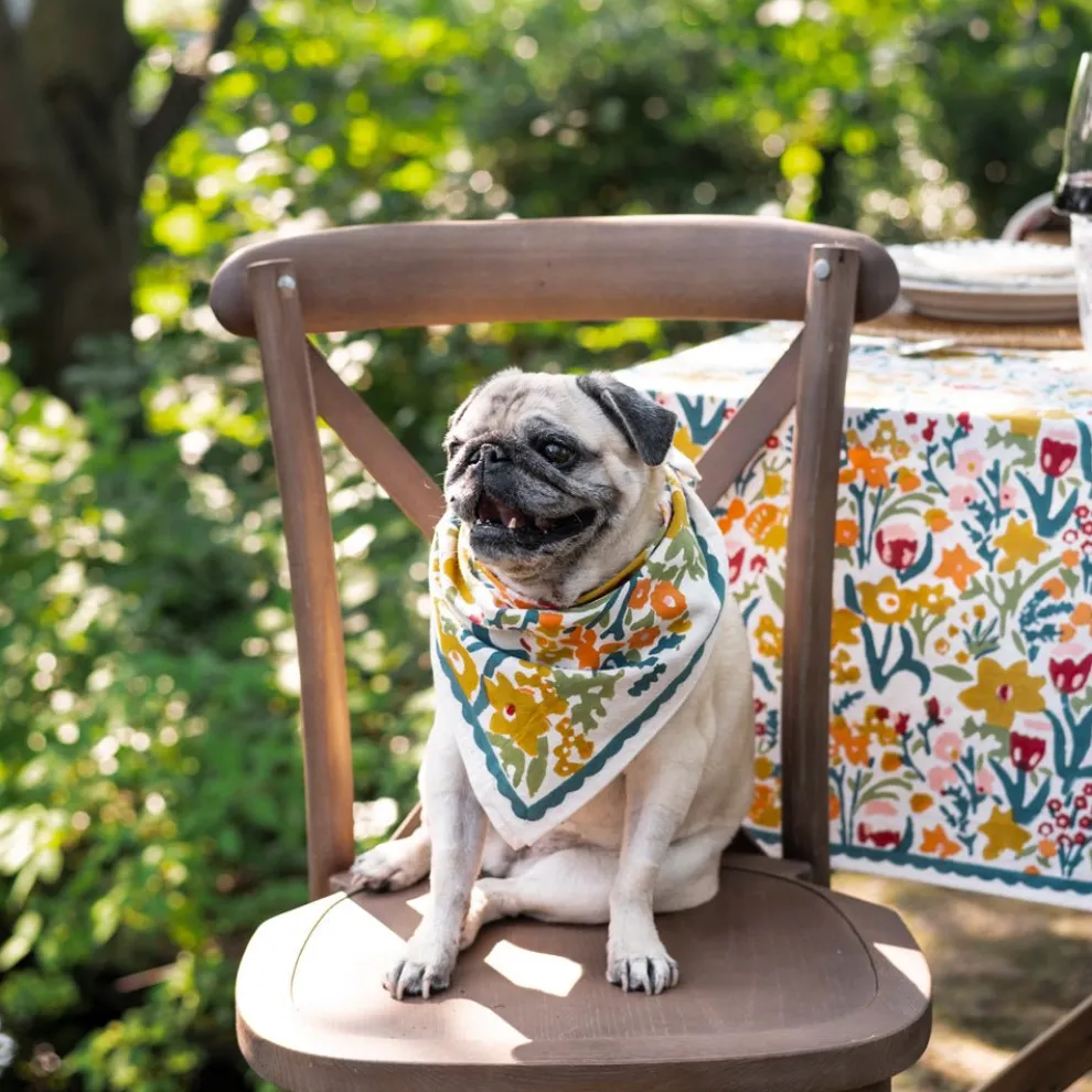 Teal Garden Napkin | Set of 4