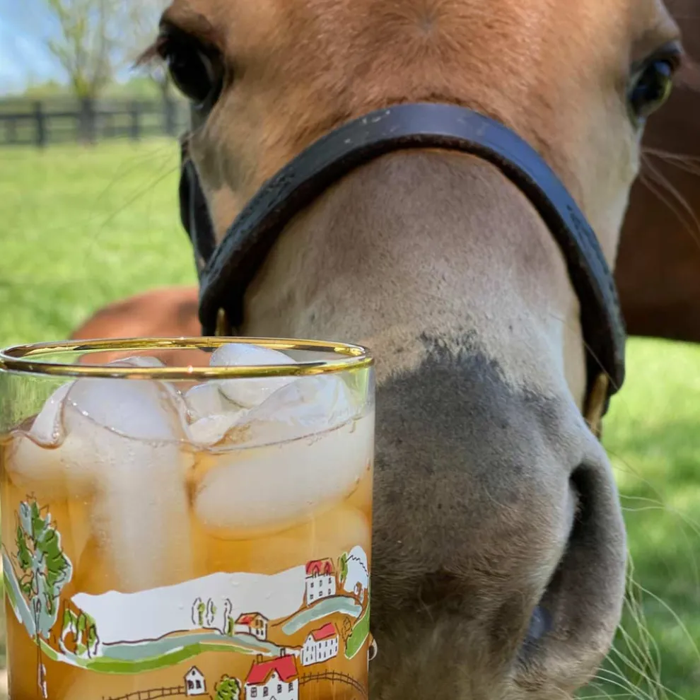 Hunt Scene Bourbon Glass | Set of 4