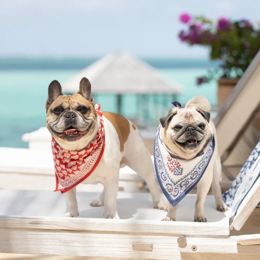 Block Printed Sagar Red & Blue Napkins