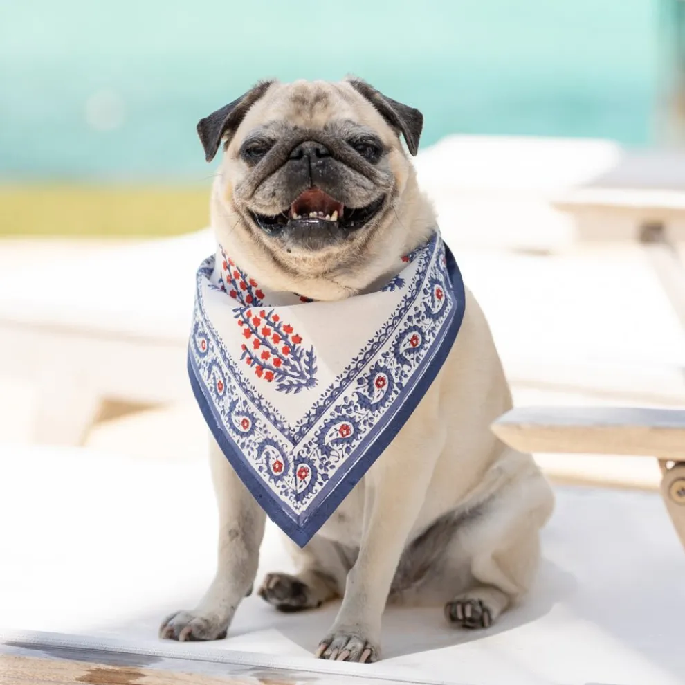 Block Printed Sagar Red & Blue Napkins